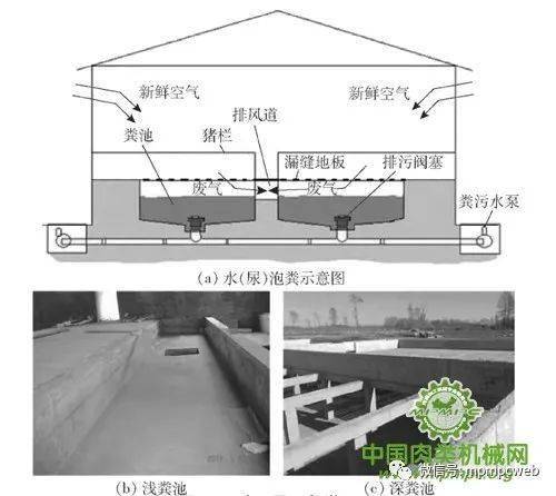 生猪养殖设施工程技术研究现状与发展趋势分析